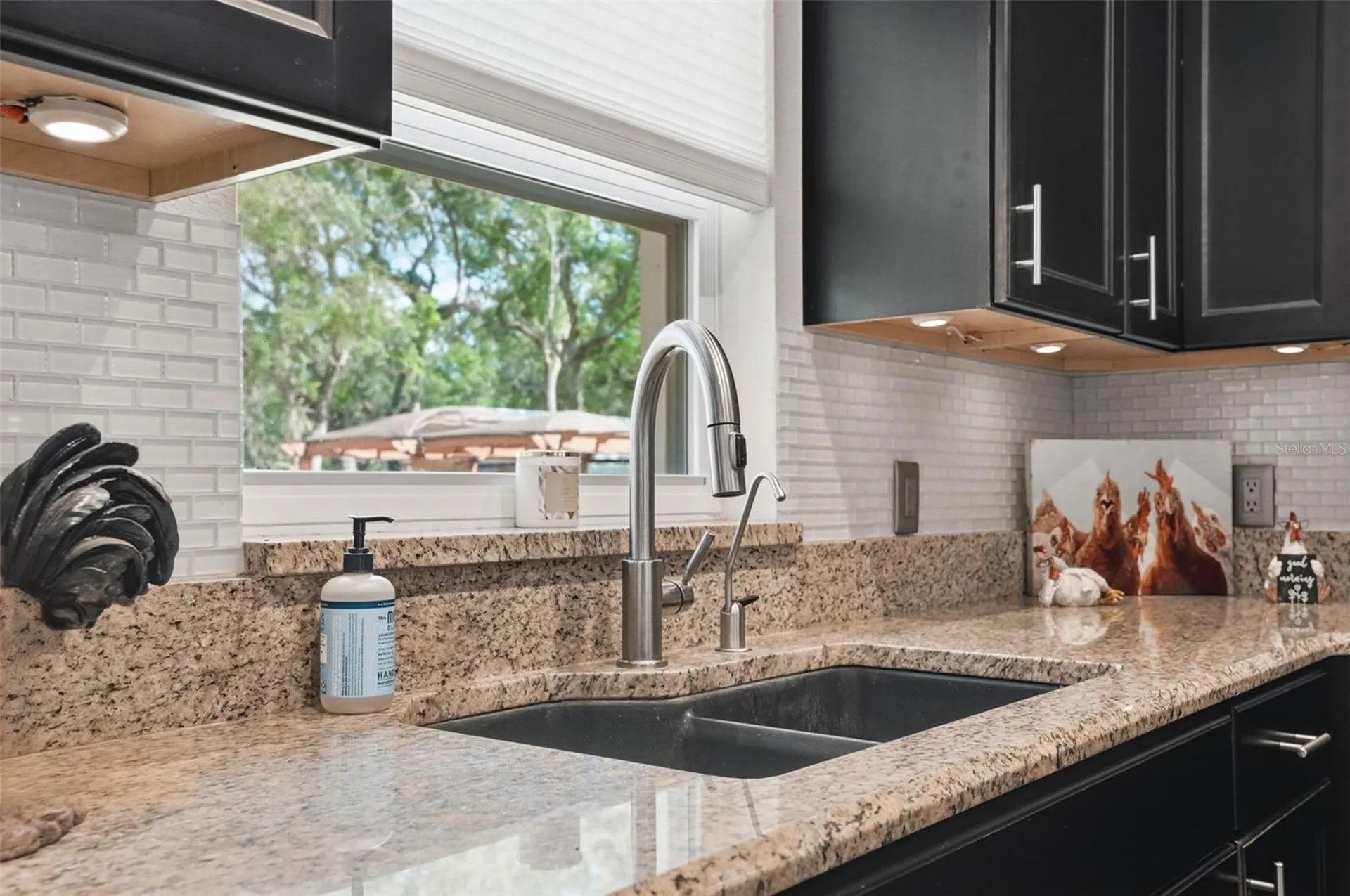 7037 Cr 625 Bushnell FL 33513