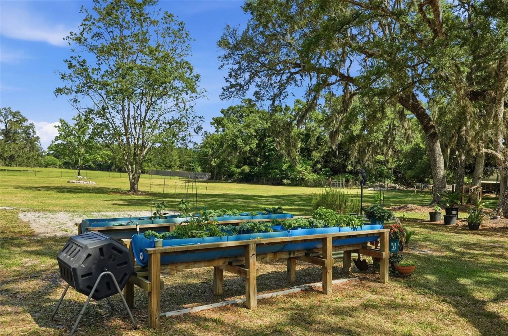 7037 Cr 625 Bushnell FL 33513