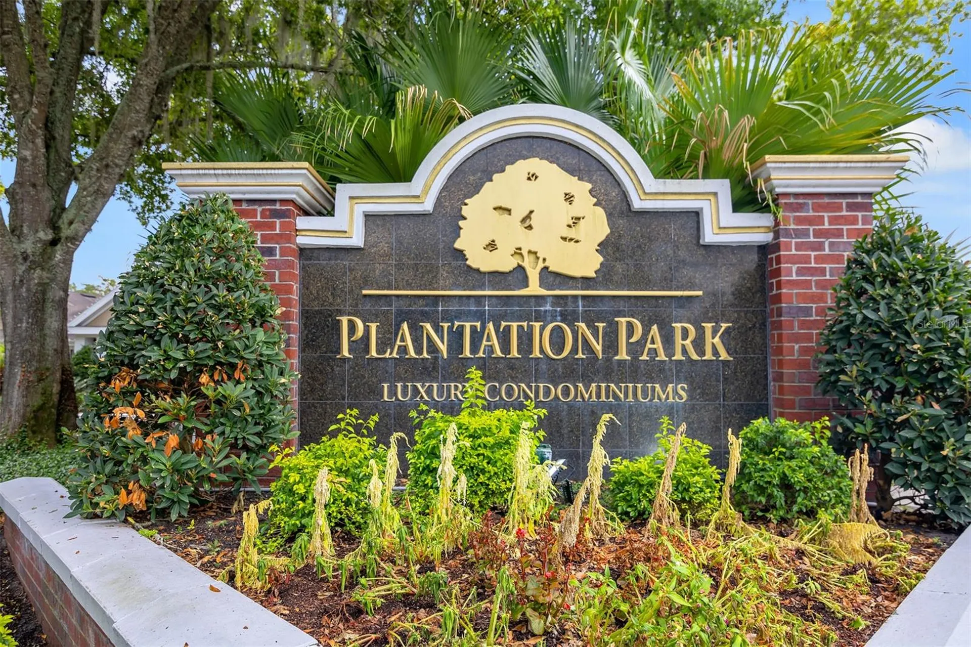 8301 Elm Park Drive Orlando FL 32821