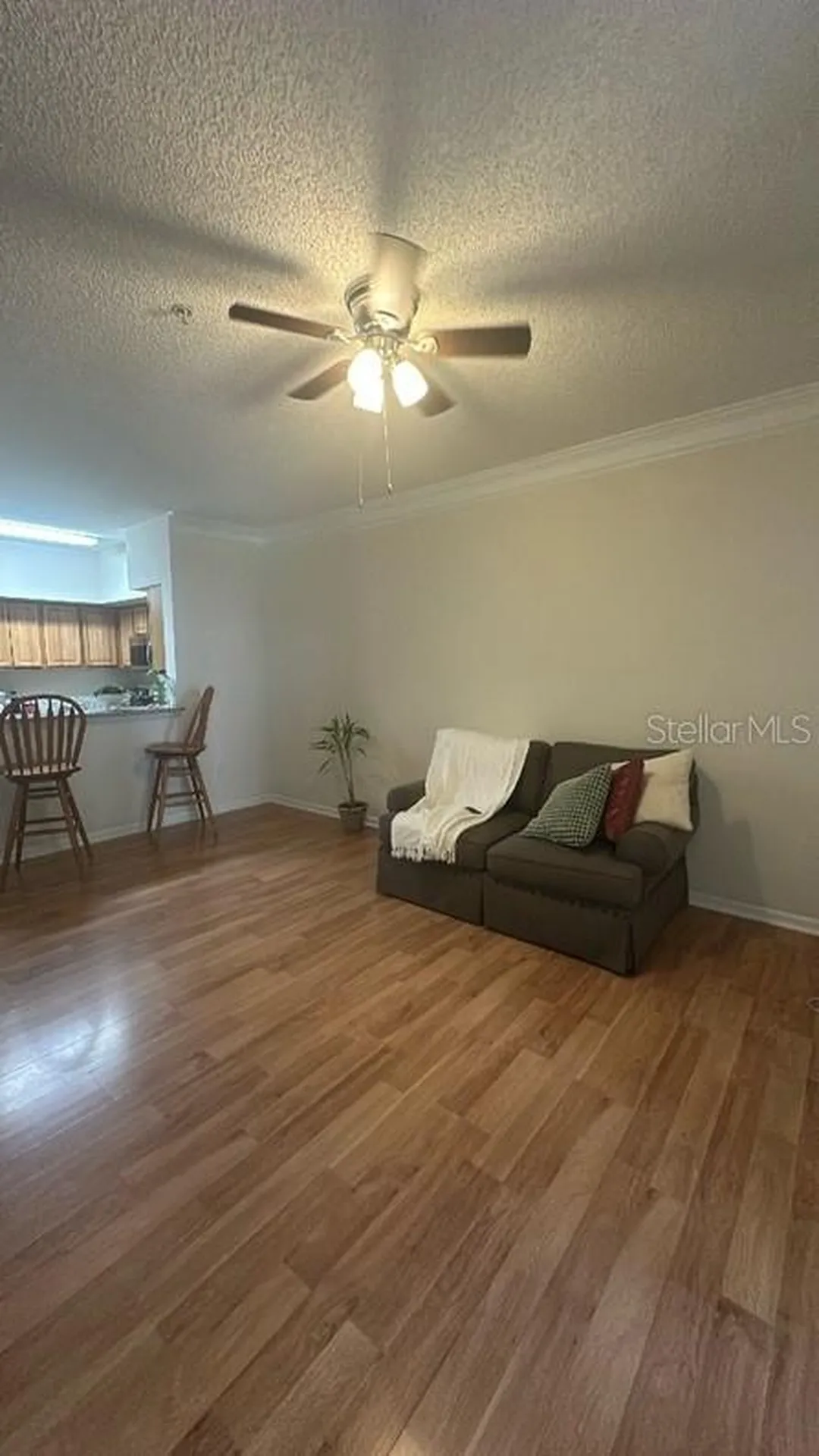 8301 Elm Park Drive Orlando FL 32821