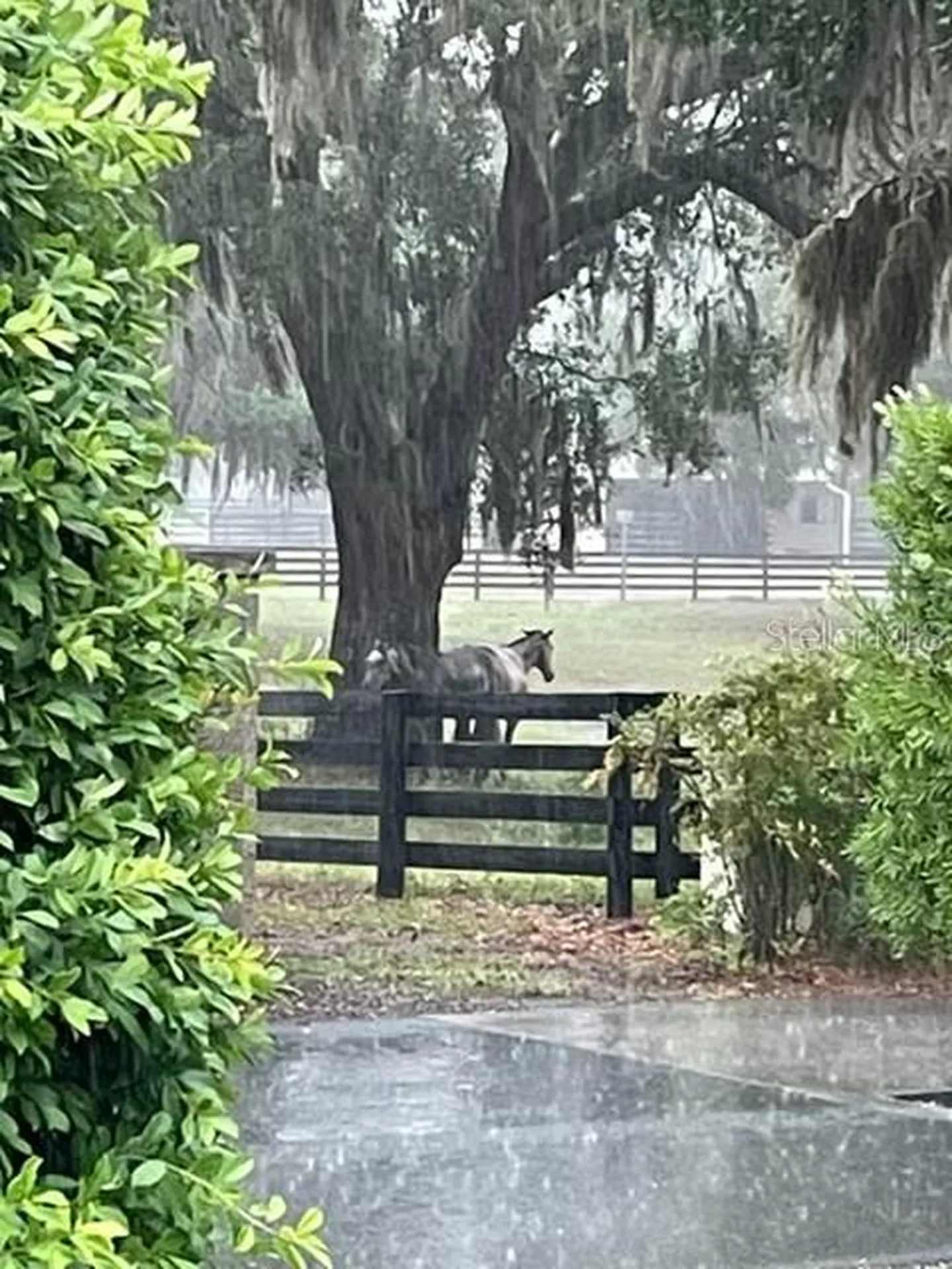 7351 SE 169th Cote Loop The Villages FL 32162