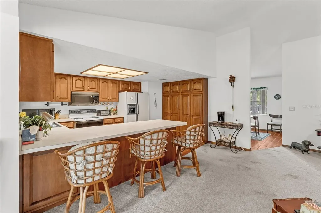 10025 Kimbrough Drive Brooksville FL 34601