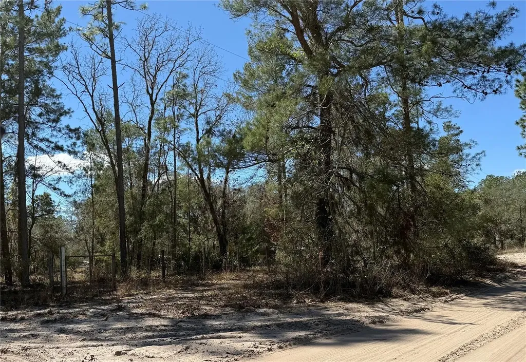 10650 NE 210th Street Fort Mc Coy FL 32134