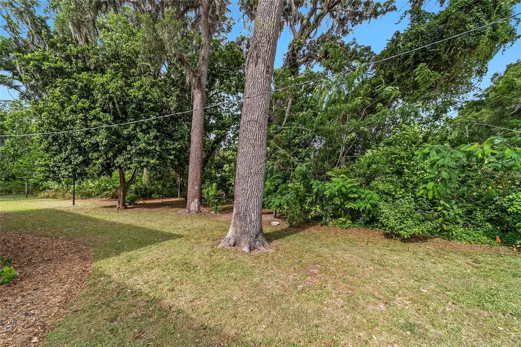 3460 SE 131st Place Belleview FL 34420
