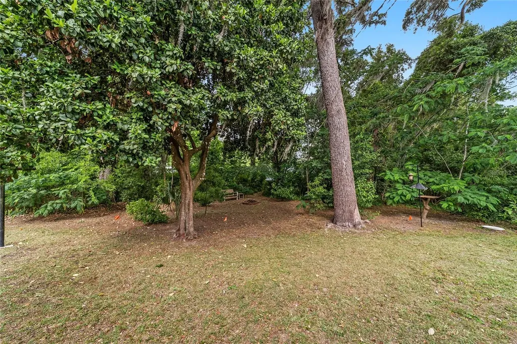 3460 SE 131st Place Belleview FL 34420