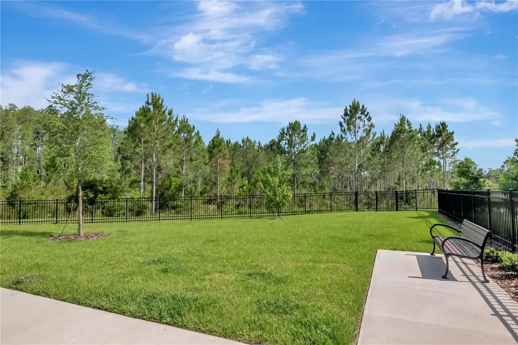 3587 Bellmeade Court Wesley Chapel FL 33543