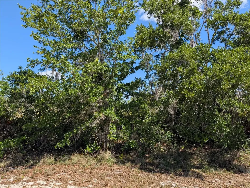 816 Bougainville Drive Indian Lake Estates FL 33855