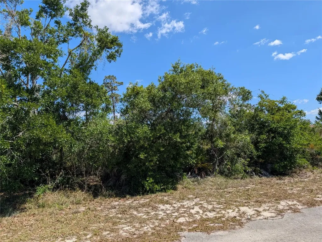 816 Bougainville Drive Indian Lake Estates FL 33855