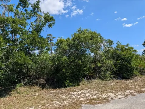 816 Bougainville Drive Indian Lake Estates FL 33855