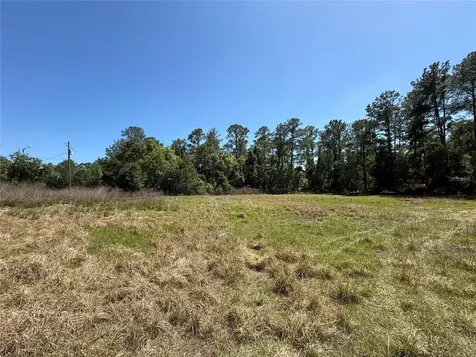0 Powell Road Brooksville FL 34604