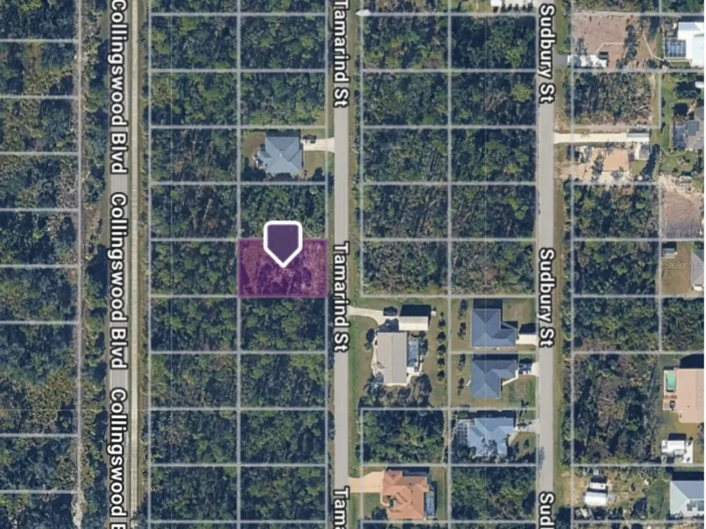 3133 Tamarind Street Port Charlotte FL 33948