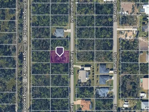 3133 Tamarind Street Port Charlotte FL 33948