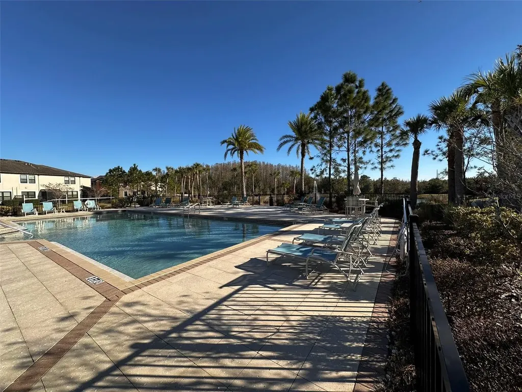 29850 Southwell Lane Wesley Chapel FL 33543