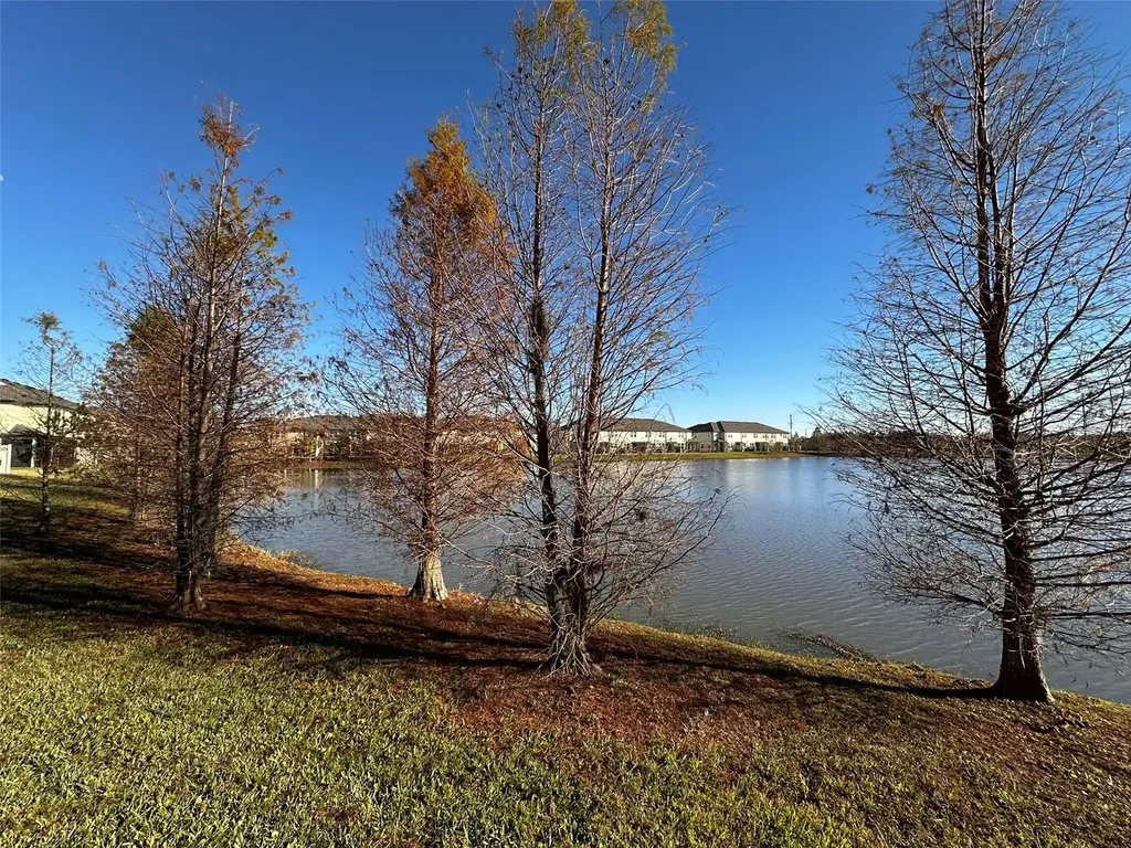 29850 Southwell Lane Wesley Chapel FL 33543