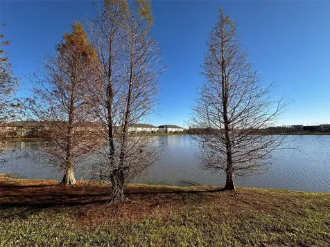 29850 Southwell Lane Wesley Chapel FL 33543