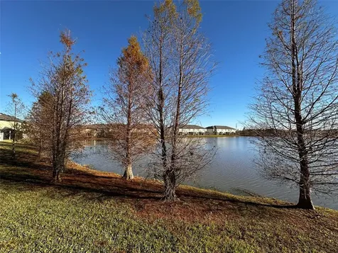 29850 Southwell Lane Wesley Chapel FL 33543