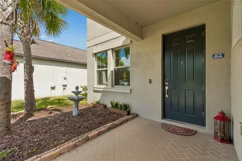 32237 Watoga Loop Wesley Chapel FL 33543