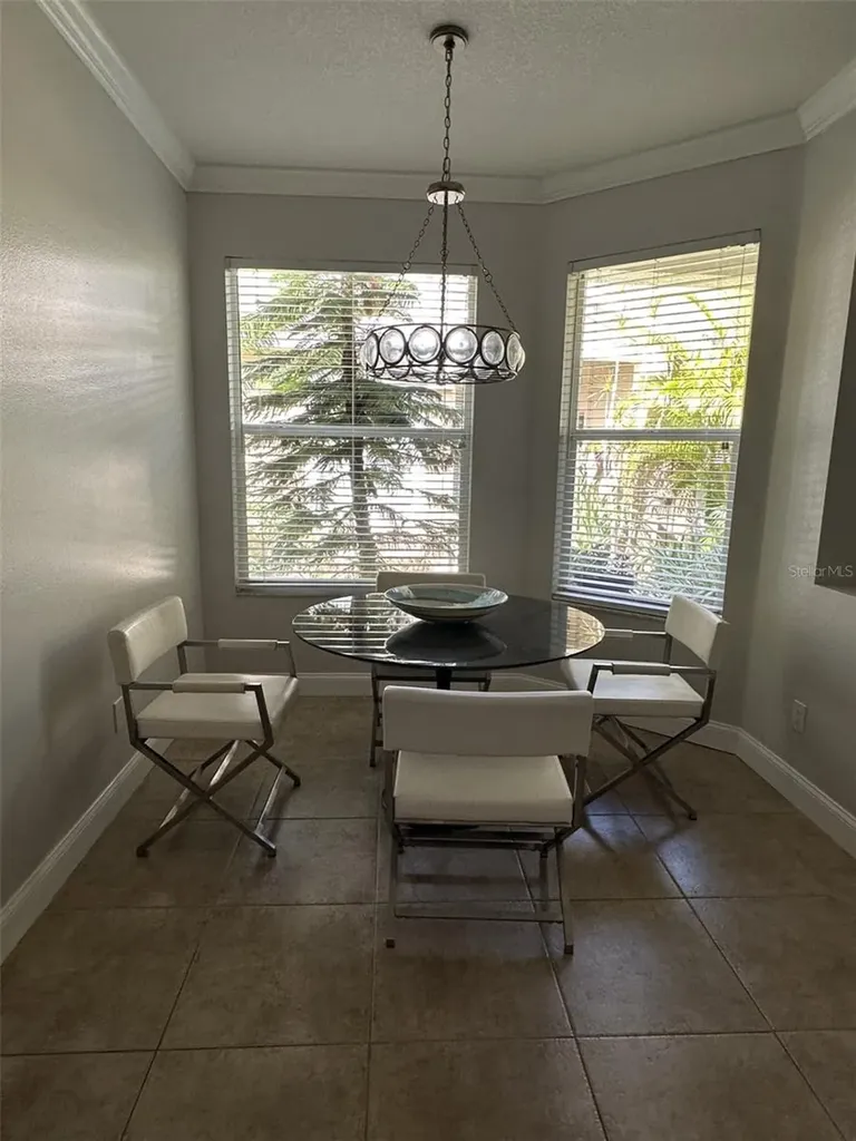19113 Doves Landing Drive Tampa FL 33647