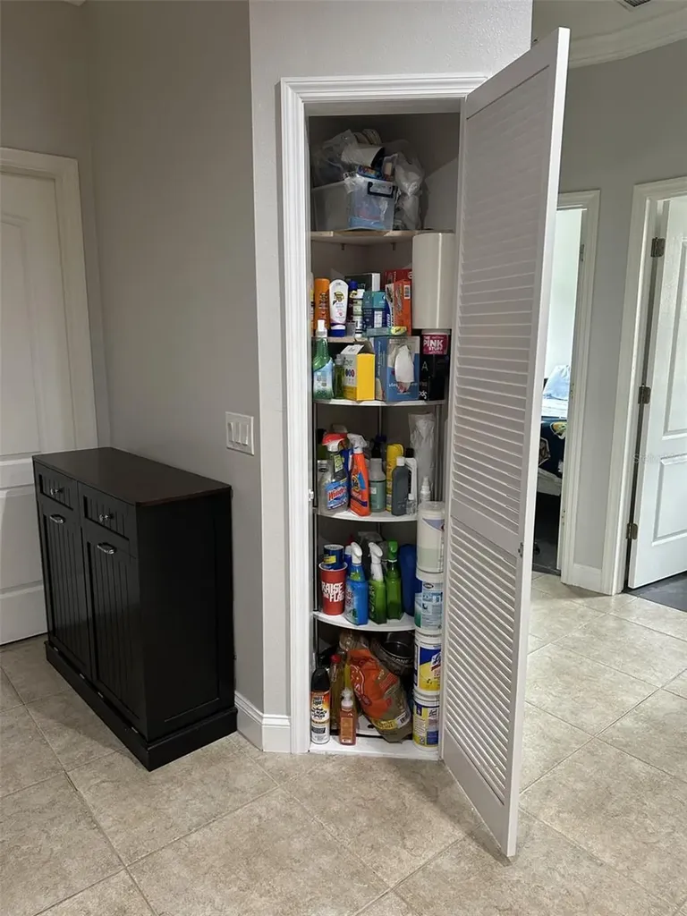 19113 Doves Landing Drive Tampa FL 33647