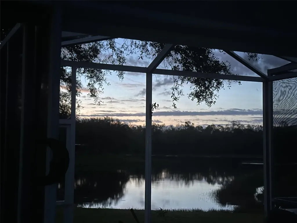 19113 Doves Landing Drive Tampa FL 33647