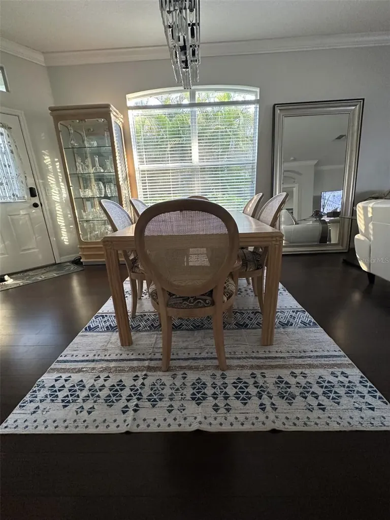 19113 Doves Landing Drive Tampa FL 33647