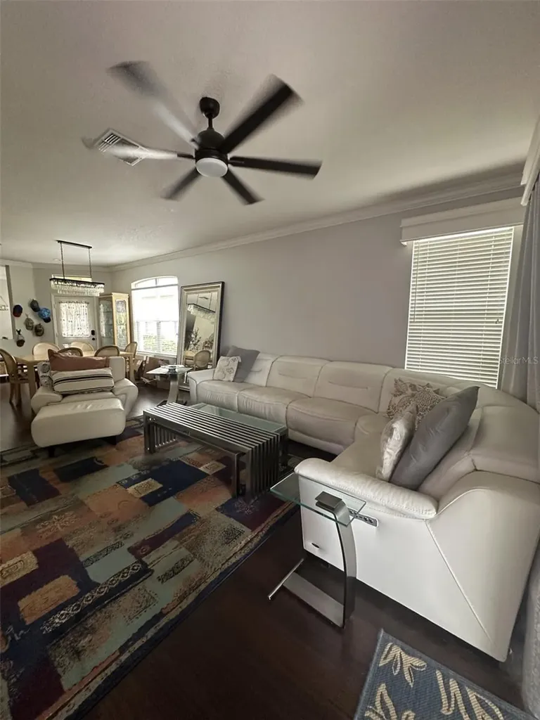 19113 Doves Landing Drive Tampa FL 33647