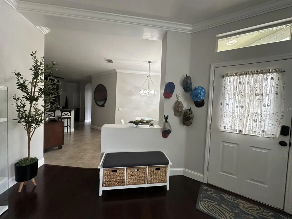 19113 Doves Landing Drive Tampa FL 33647