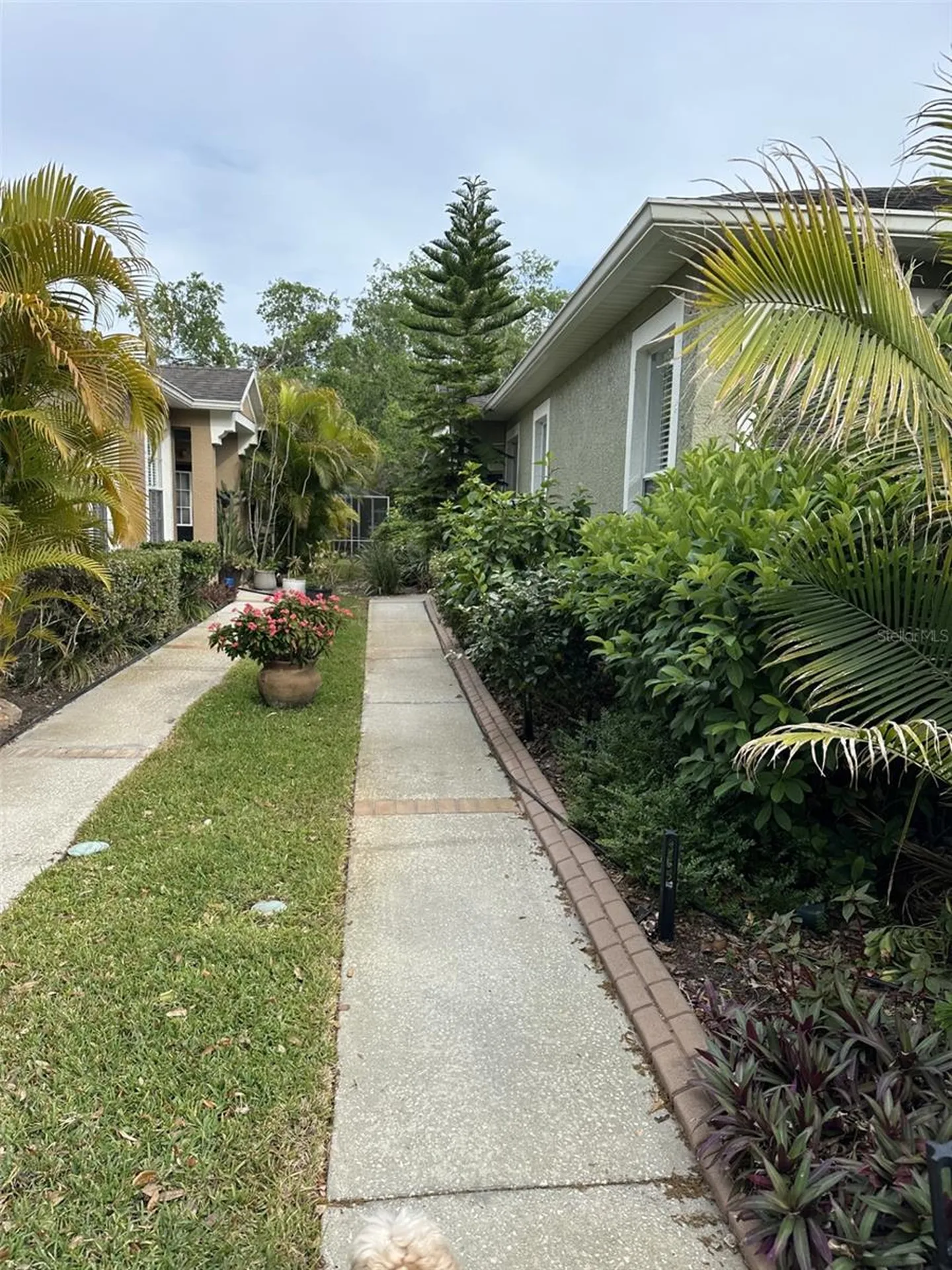 19113 Doves Landing Drive Tampa FL 33647