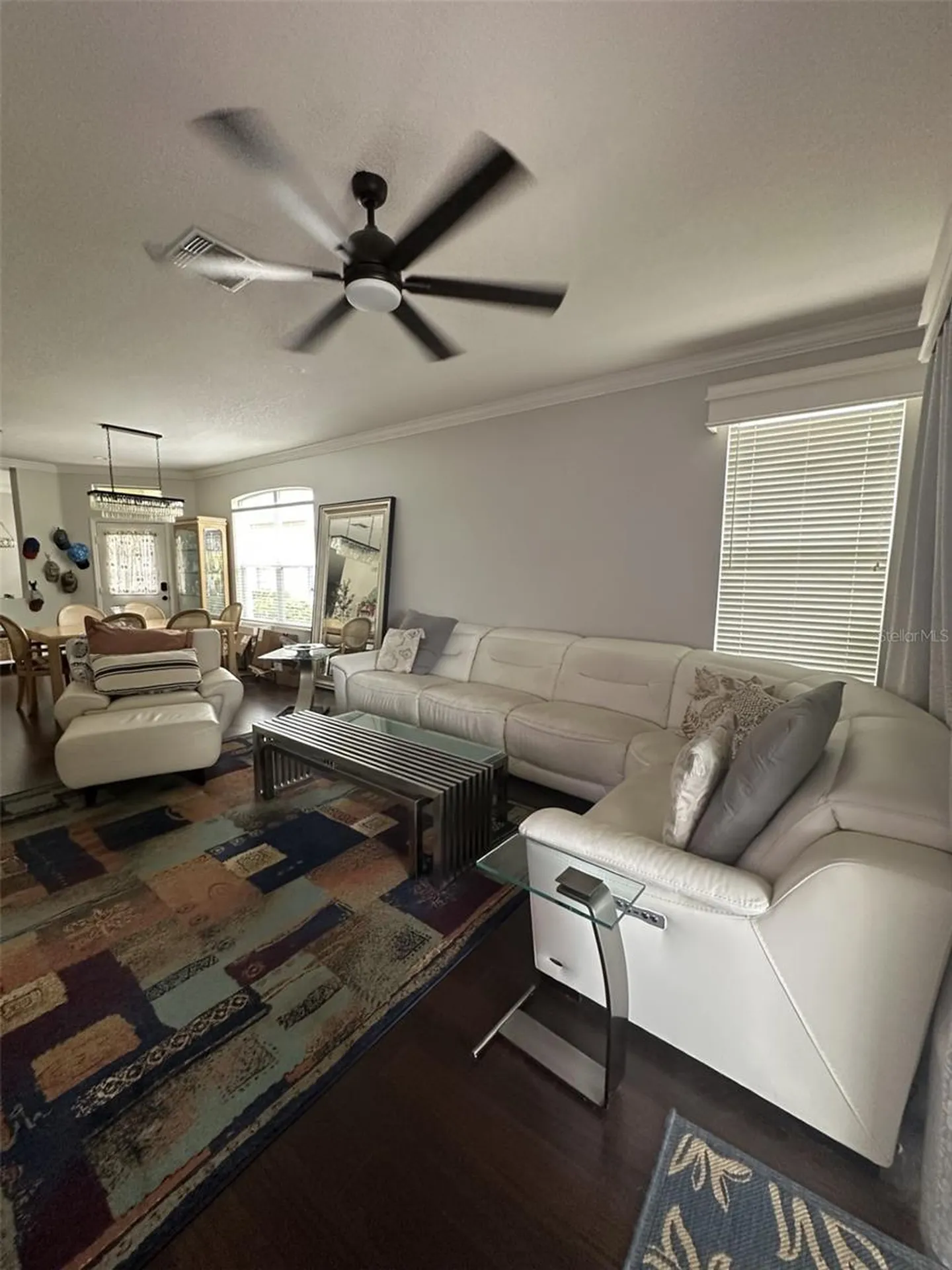 19113 Doves Landing Drive Tampa FL 33647