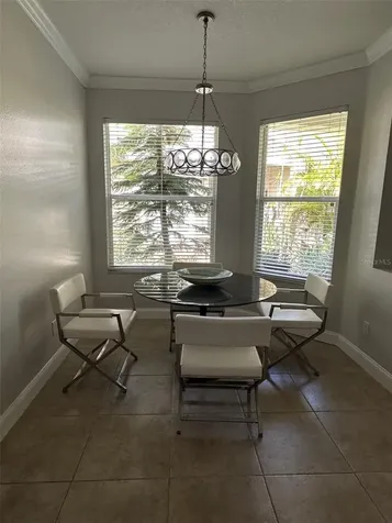 19113 Doves Landing Drive Tampa FL 33647