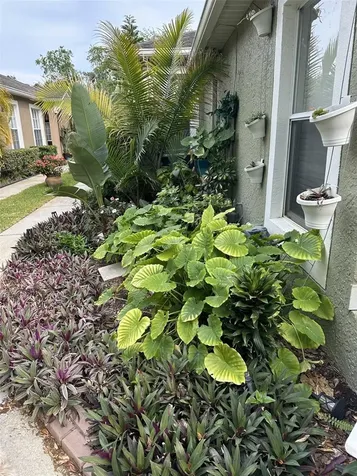 19113 Doves Landing Drive Tampa FL 33647