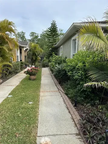 19113 Doves Landing Drive Tampa FL 33647