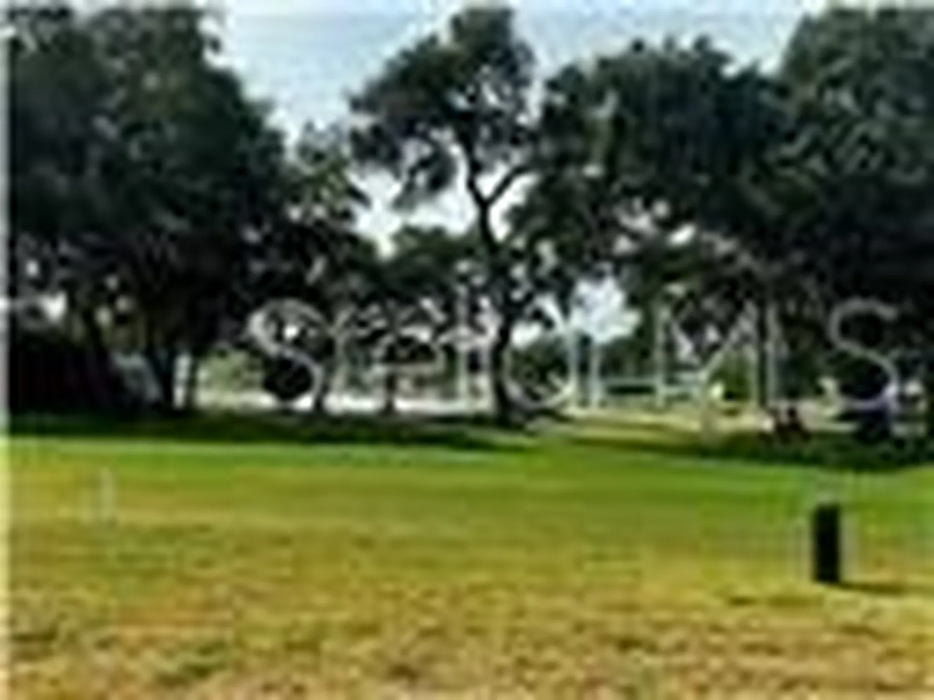 1100 Belcher Road S Largo FL 33771