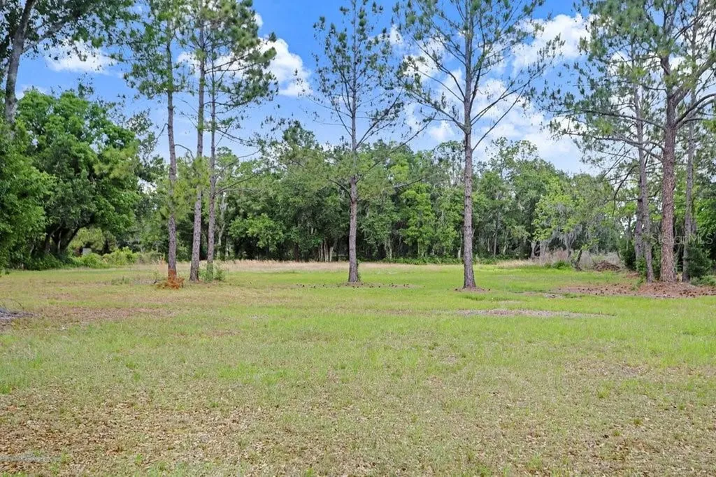 6204 W Knights Griffin Road Plant City FL 33565