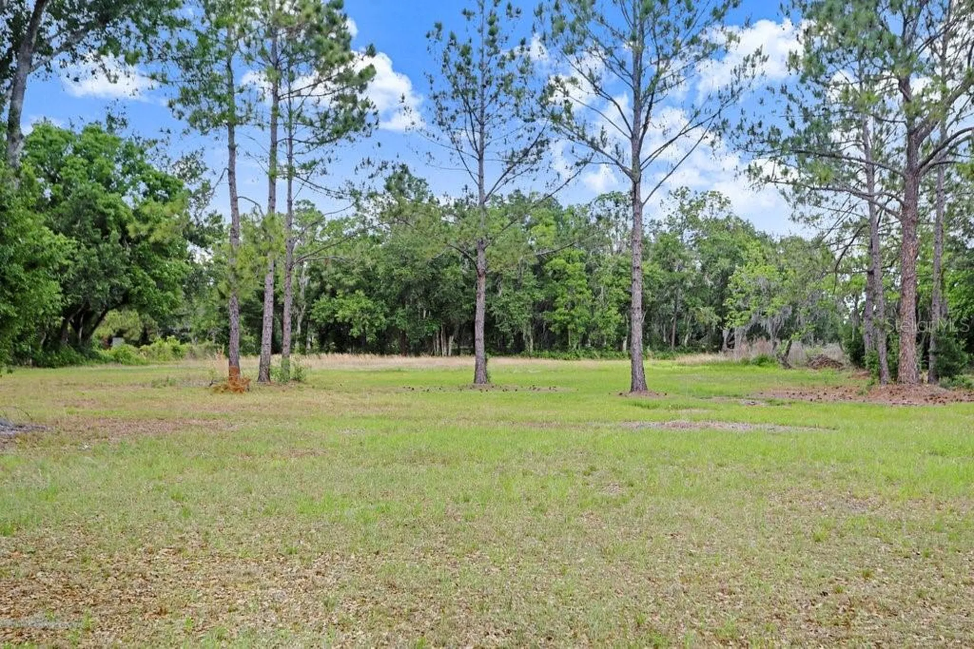 6204 W Knights Griffin Road Plant City FL 33565