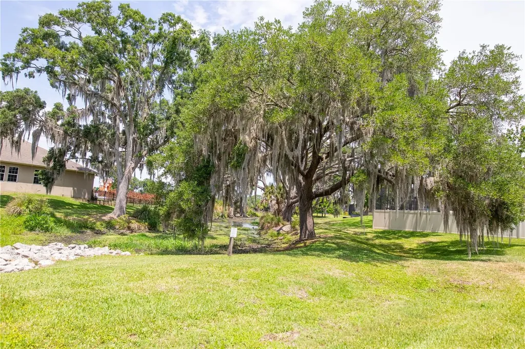 15665 Citrus Harvest Road Winter Garden FL 34787