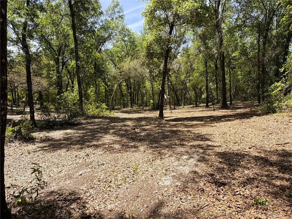 Cypress Street Keystone Heights FL 32656