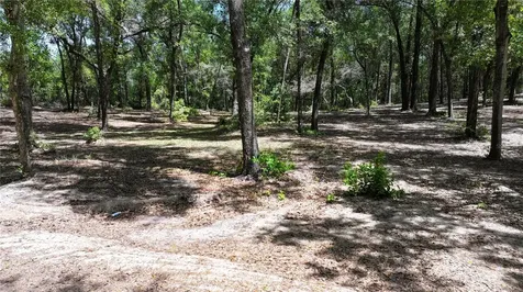 Cypress Street Keystone Heights FL 32656