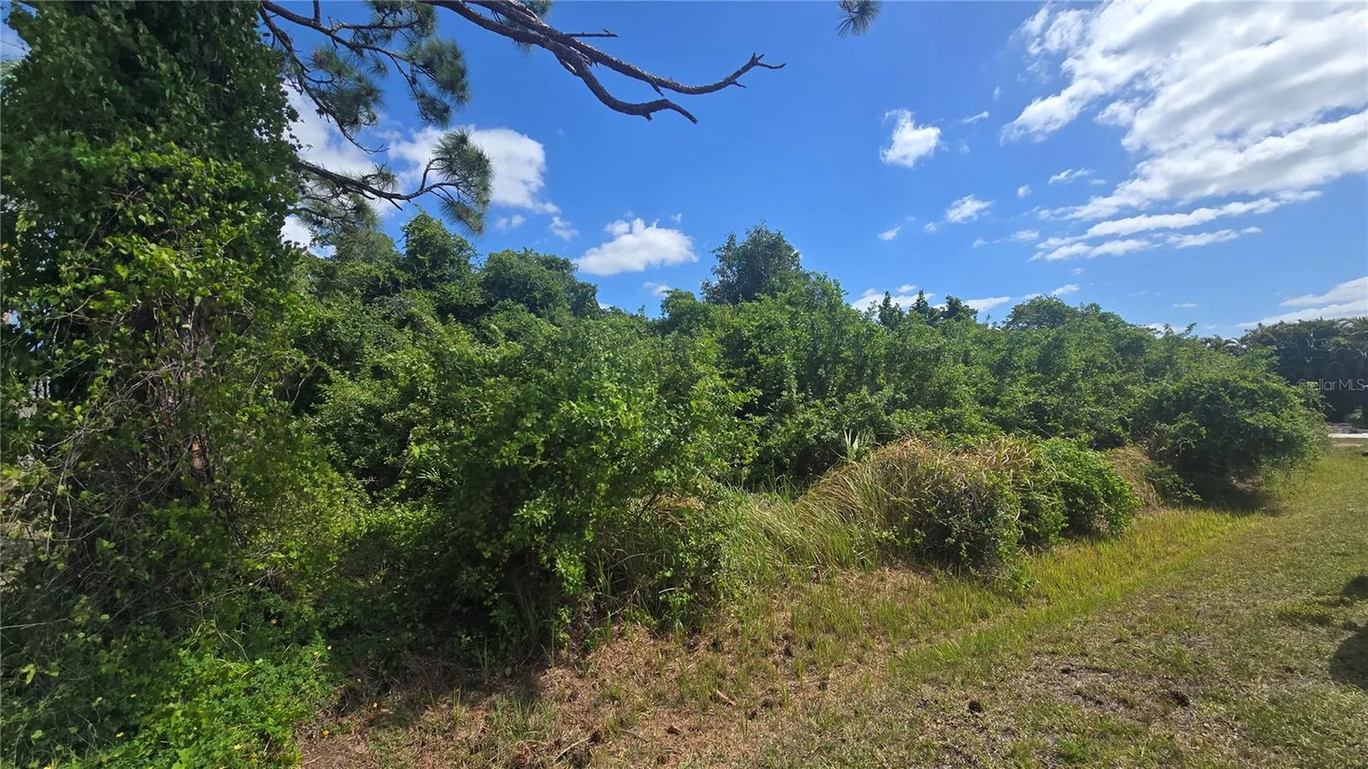 Gale Street Englewood FL 34223