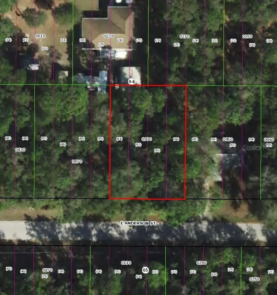 3301 E Anderson Street Inverness FL 34453