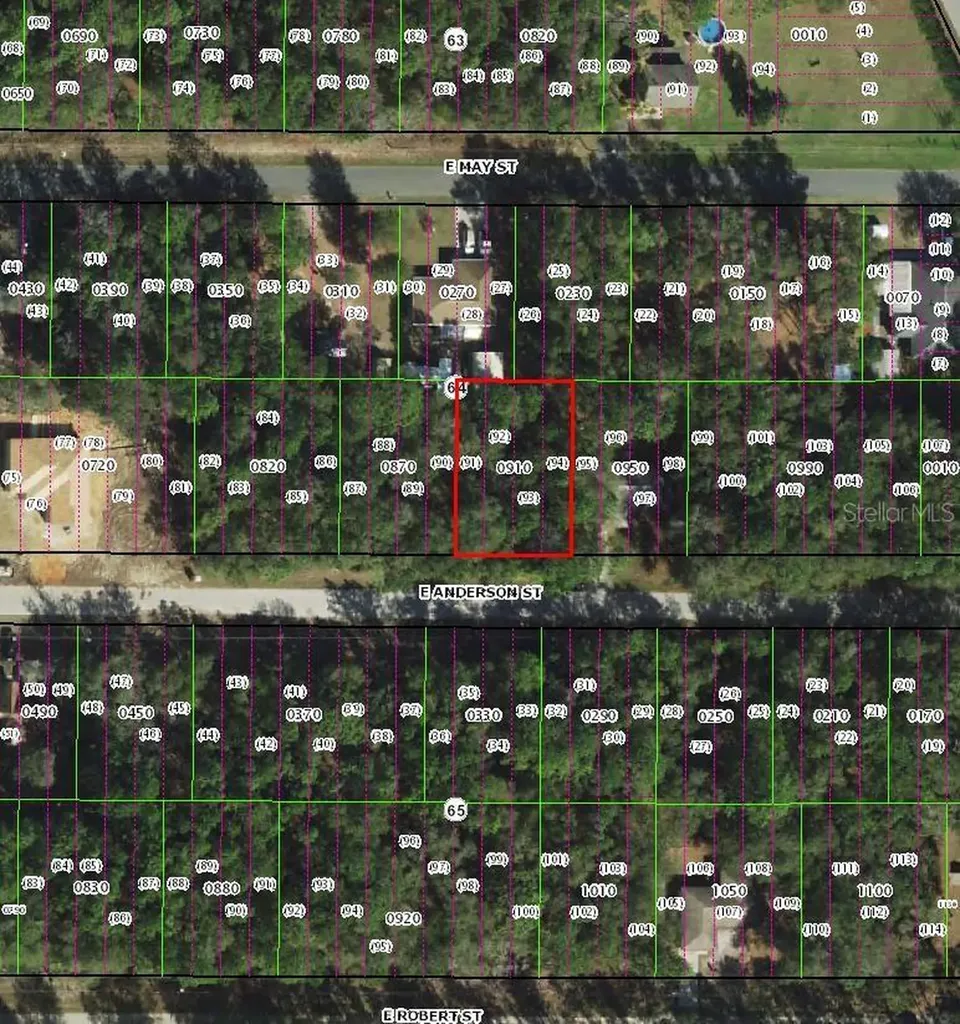 3301 E Anderson Street Inverness FL 34453