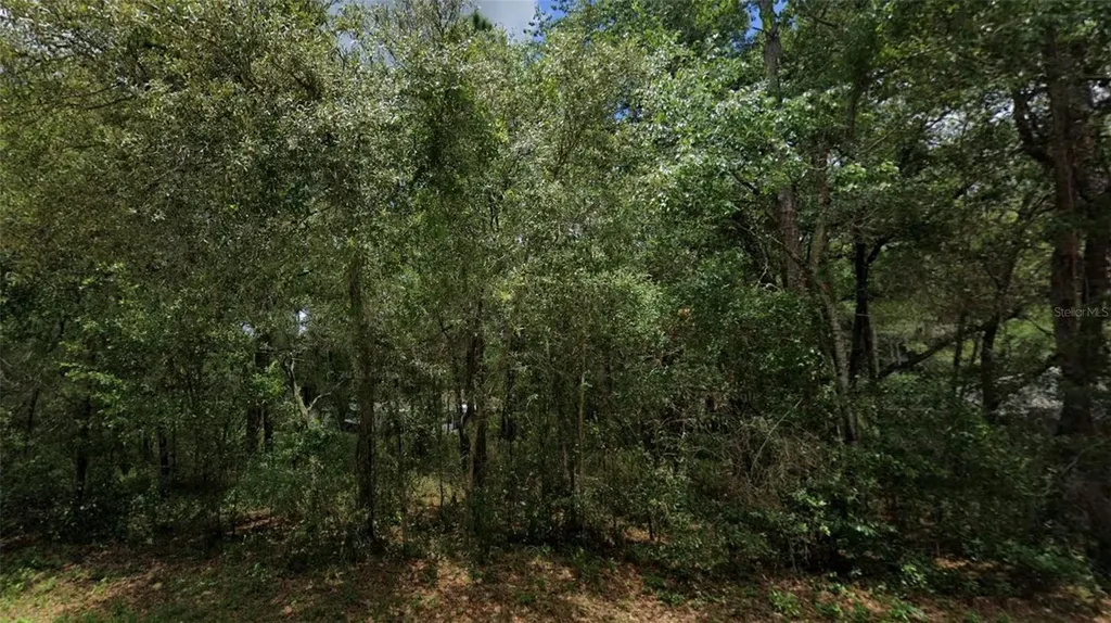 3301 E Anderson Street Inverness FL 34453