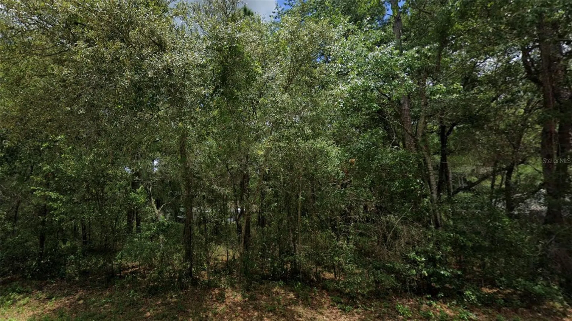 3301 E Anderson Street Inverness FL 34453