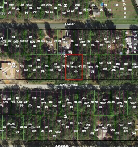 3301 E Anderson Street Inverness FL 34453