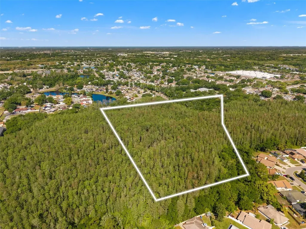 12591 Henderson Road Tampa FL 33619