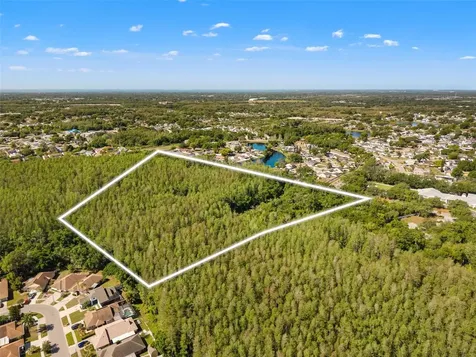 12591 Henderson Road Tampa FL 33619