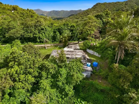 15 Km 10.8 Bo Las Palmas Guayama PR 00784