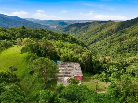 15 Km 10.8 Bo Las Palmas Guayama PR 00784