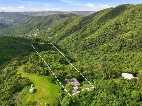 15 Km 10.8 Bo Las Palmas Guayama PR 00784