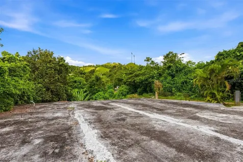 15 Km 10.8 Bo Las Palmas Guayama PR 00784